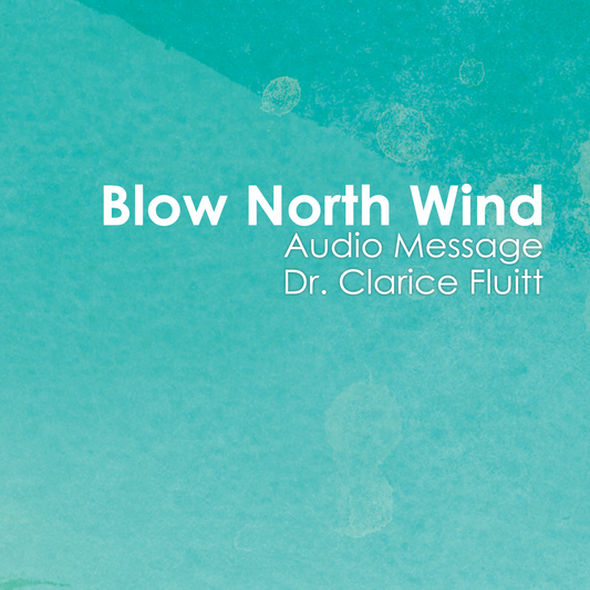 Blow North Wind CD