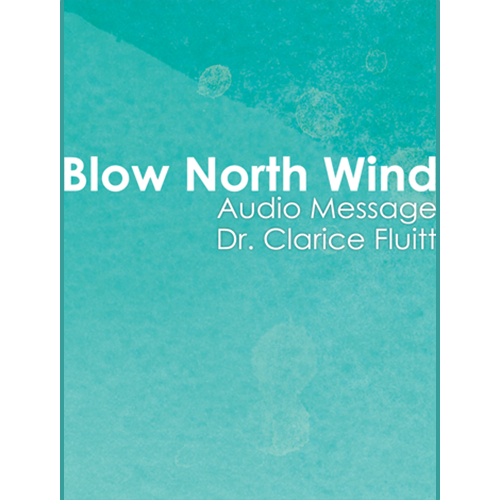 Blow North Wind