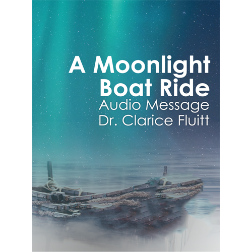 A Moonlight Boat Ride