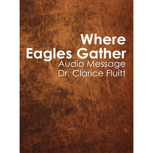 Where Eagles Gather