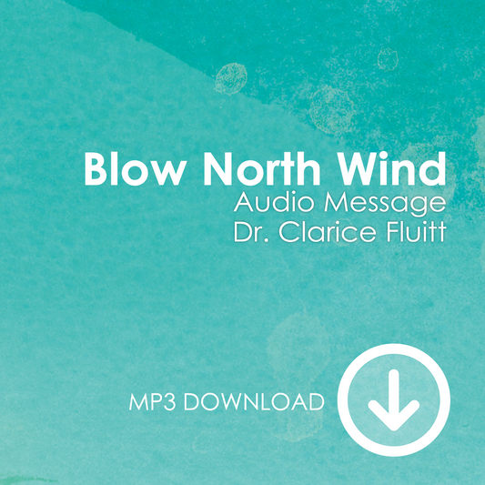 Blow North Wind MP3