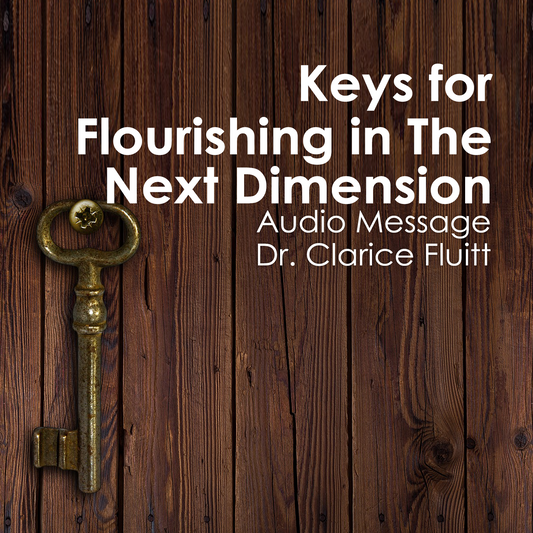 Keys for Flourishing in the Next Dimension MP3 Set